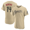 Silnrao A.Diamondbacks #14 Gabriel Moreno Player Gold City Connect Stitched Jerseys