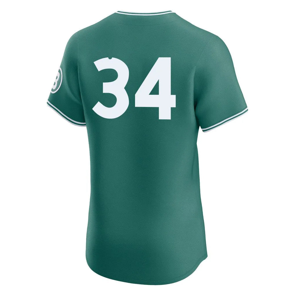 Silnrao B.Red Sox #34 David Ortiz Player Green City Connect Limited Elite Home Game Stitched Jerseys