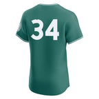 Silnrao B.Red Sox #34 David Ortiz Player Green City Connect Limited Elite Home Game Stitched Jerseys