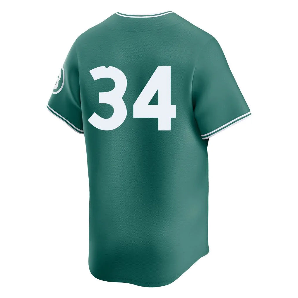 Silnrao B.Red Sox #34 David Ortiz Player Green City Connect Limited Home Game Stitched Jerseys