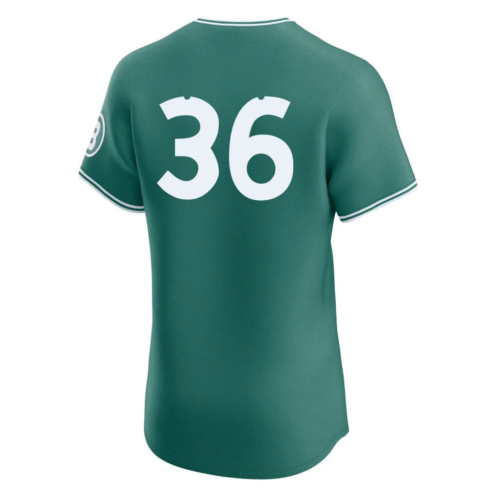 Silnrao B.Red Sox #36 Triston Casas Player Green City Connect Limited Elite Home Game Stitched Jerseys