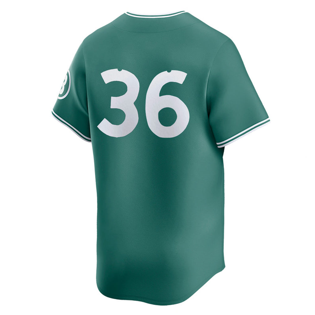 Silnrao B.Red Sox #36 Triston Casas Player Green City Connect Limited Home Game Stitched Jerseys