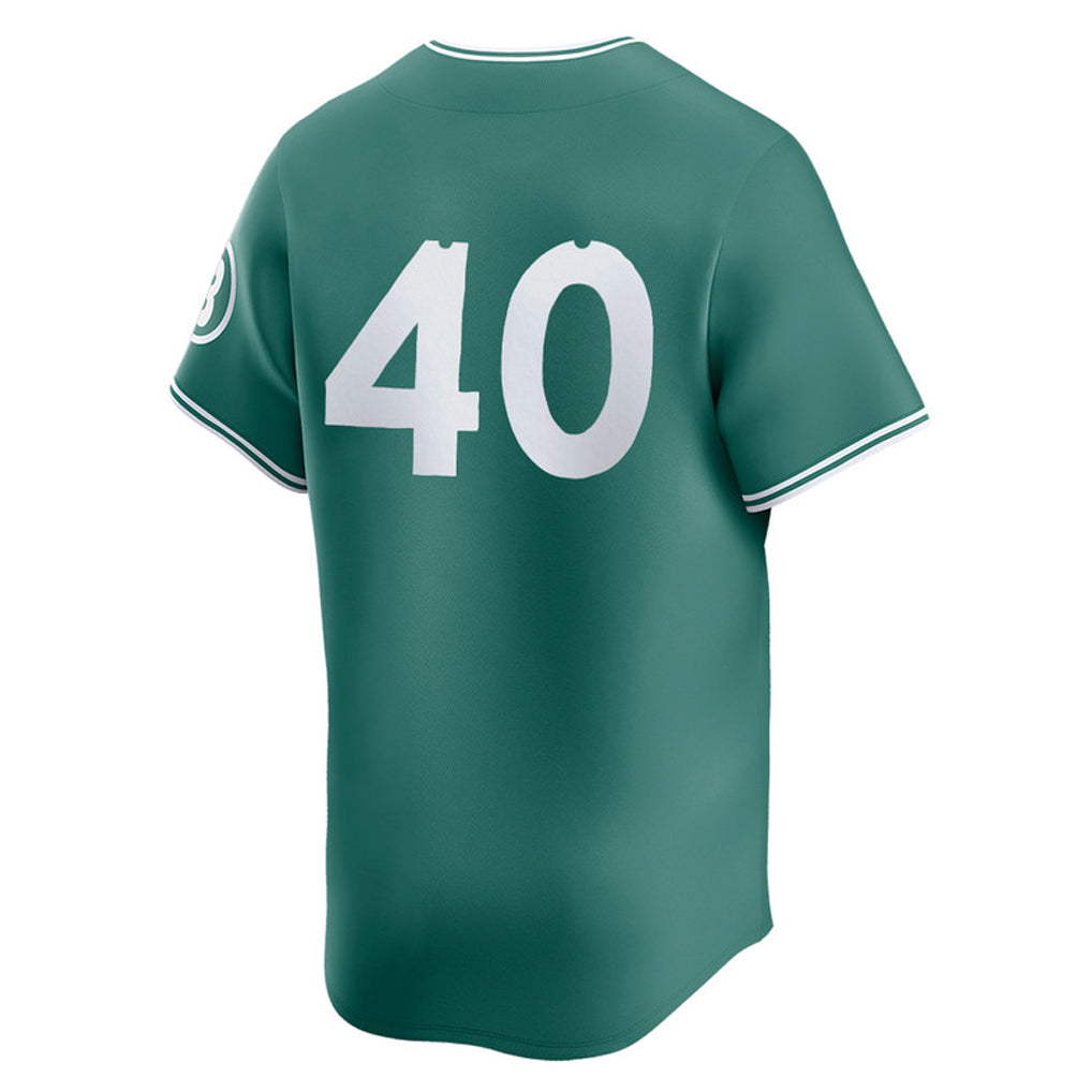 Silnrao B.Red Sox #40 Willson Contreras Player Green City Connect Limited Home Game Stitched Jerseys