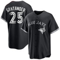 Silnrao T.Blue Jays #25 Anthony Santander Player Black City Connect Limited Stitched Jerseys