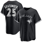 Silnrao T.Blue Jays #25 Anthony Santander Player Black City Connect Limited Stitched Jerseys