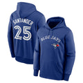 Silnrao T.Blue Jays #25 Anthony Santander Player Royal Performance Pullover Hoodie